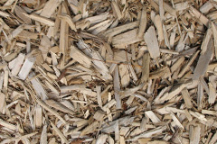 biomass boilers Low Blantyre